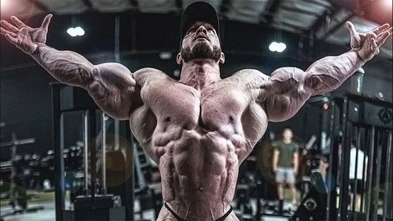 Clenbuterol Curso: Todo lo que Necesitas Saber